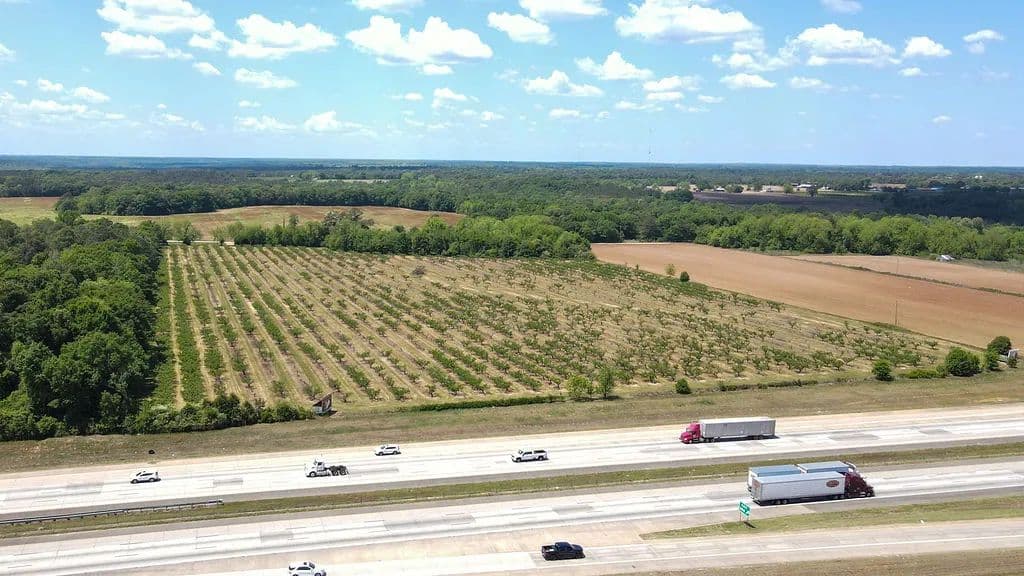 Vacant Land (10+ Acres) in Fort Valley - Fort Valley, Georgia, 31030