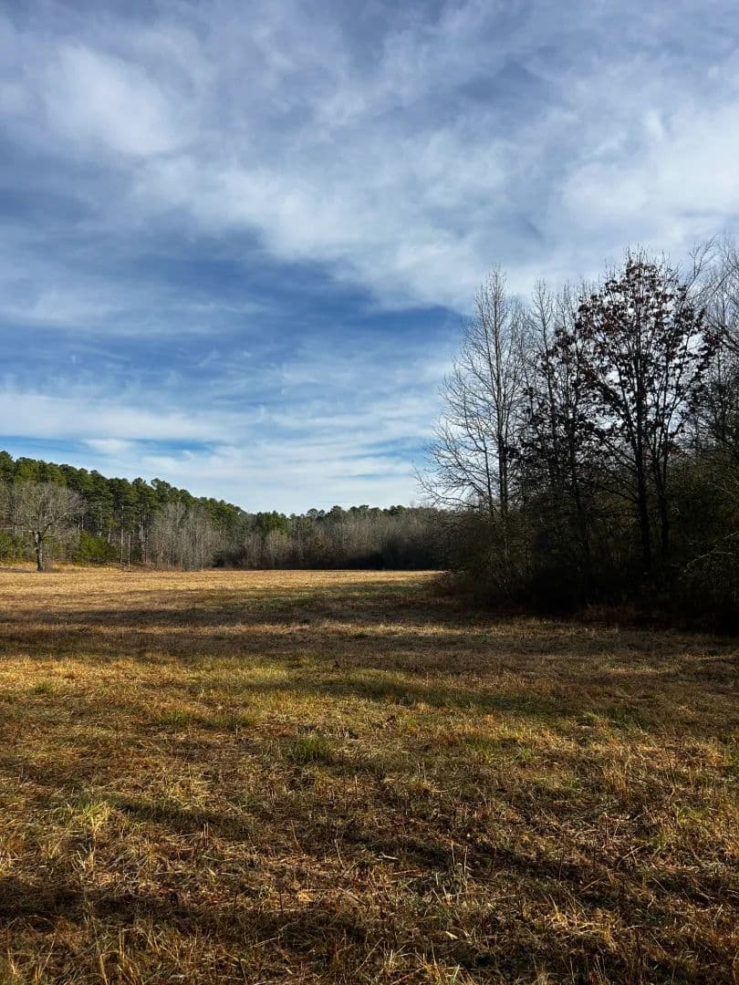 16.37 Acres [Tract 1] in Montgomery County, AR  - Oden, Arkansas, 71961