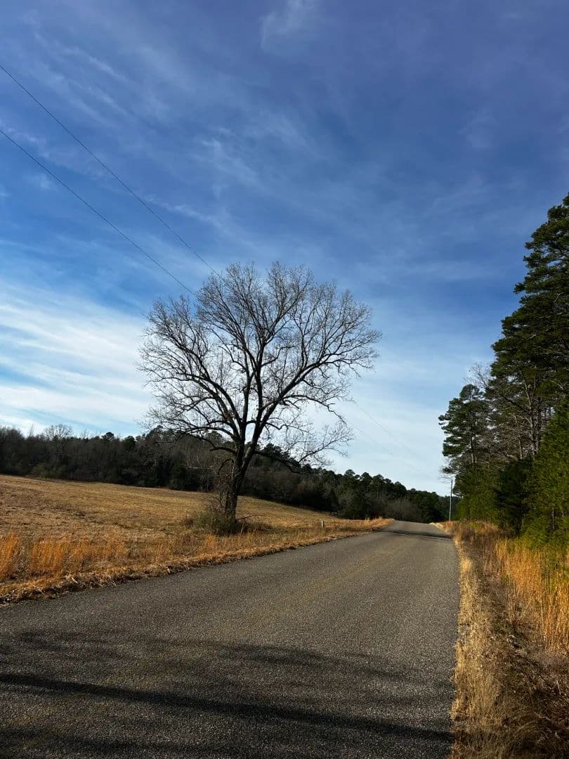 16.37 Acres [Tract 1] in Montgomery County, AR in Oden, Arkansas - photo 10