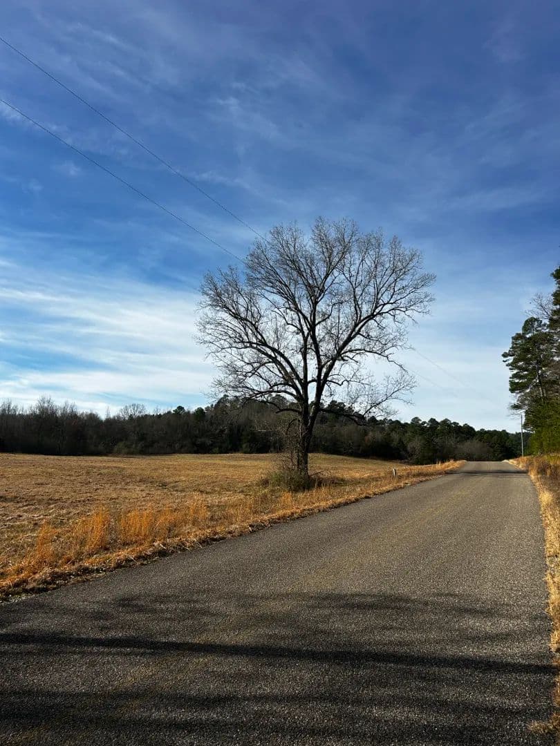 16.37 Acres [Tract 1] in Montgomery County, AR in Oden, Arkansas - photo 11