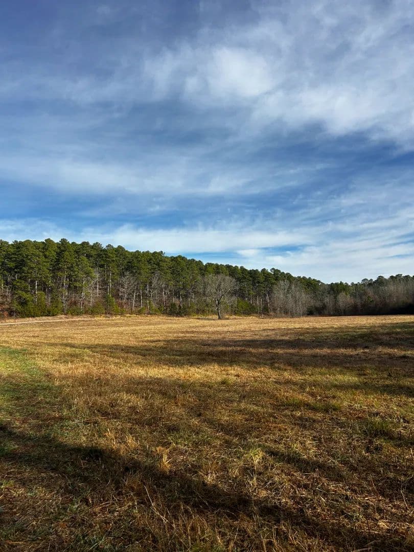16.37 Acres [Tract 1] in Montgomery County, AR in Oden, Arkansas - photo 2