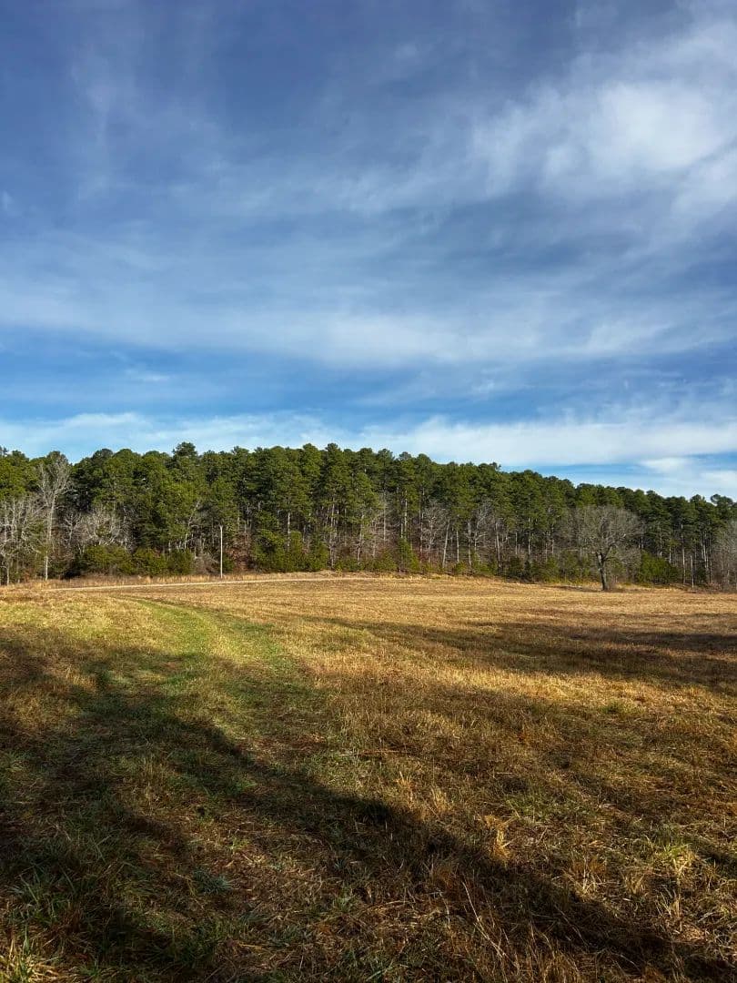 16.37 Acres [Tract 1] in Montgomery County, AR in Oden, Arkansas - photo 3