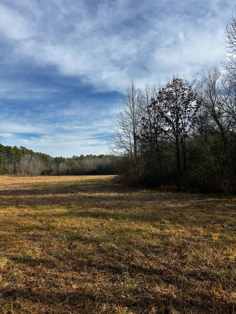 16.37 Acres [Tract 1] in Montgomery County, AR in Oden, Arkansas - photo 4