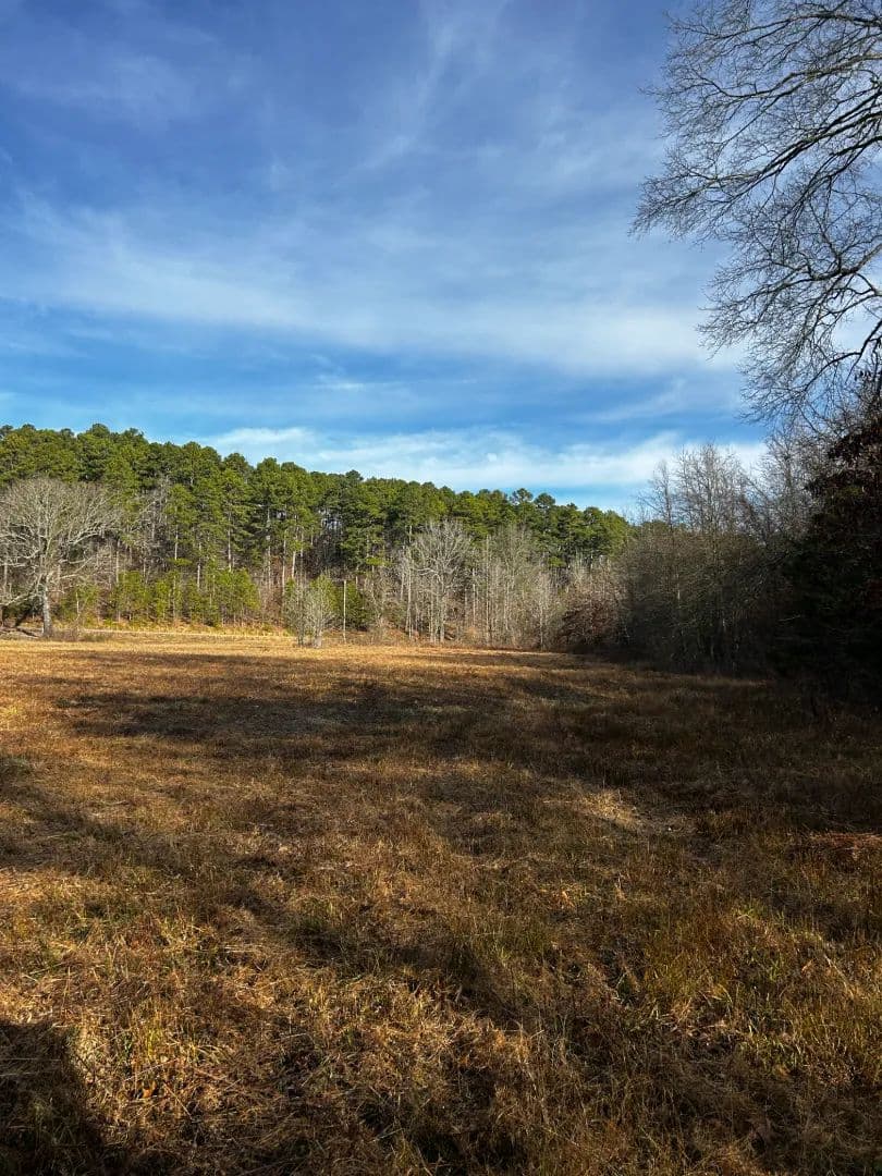 16.37 Acres [Tract 1] in Montgomery County, AR in Oden, Arkansas - photo 6
