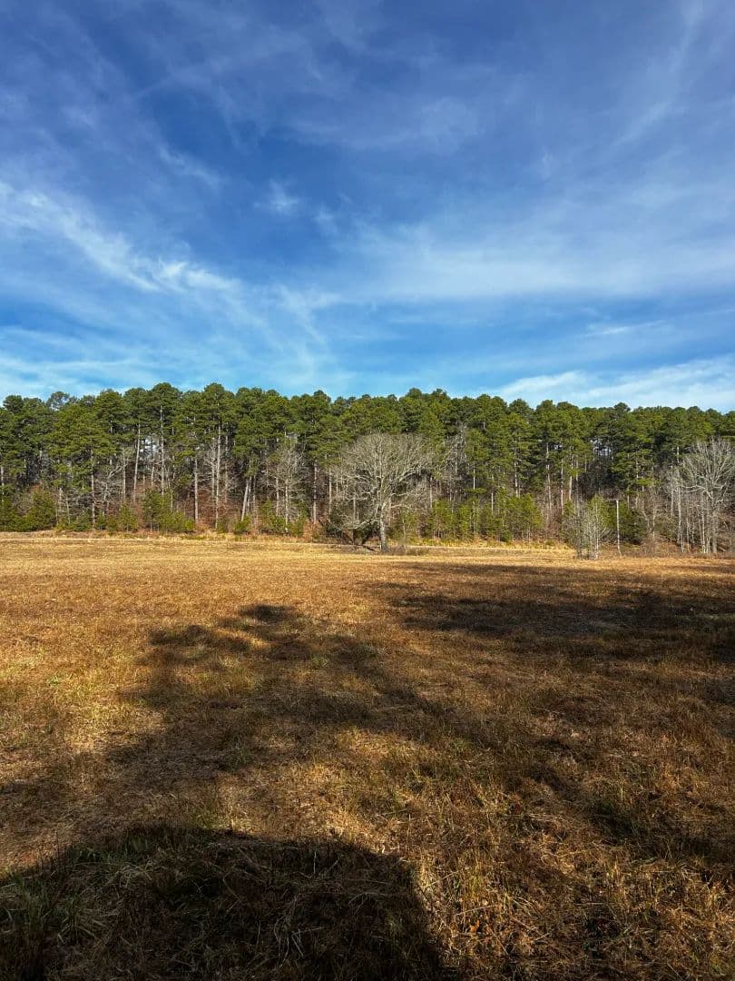 16.37 Acres [Tract 1] in Montgomery County, AR in Oden, Arkansas - photo 7