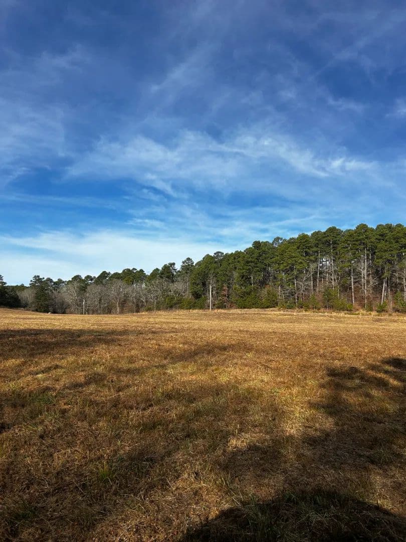 16.37 Acres [Tract 1] in Montgomery County, AR in Oden, Arkansas - photo 8