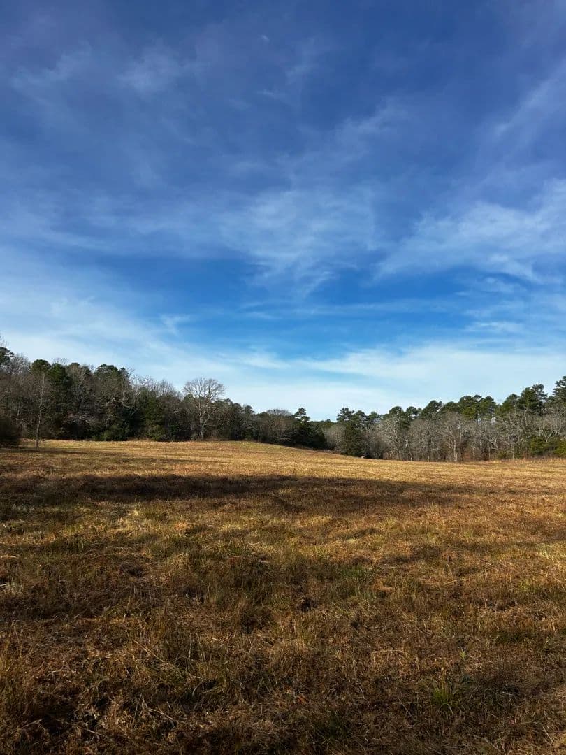 16.37 Acres [Tract 1] in Montgomery County, AR in Oden, Arkansas - photo 9