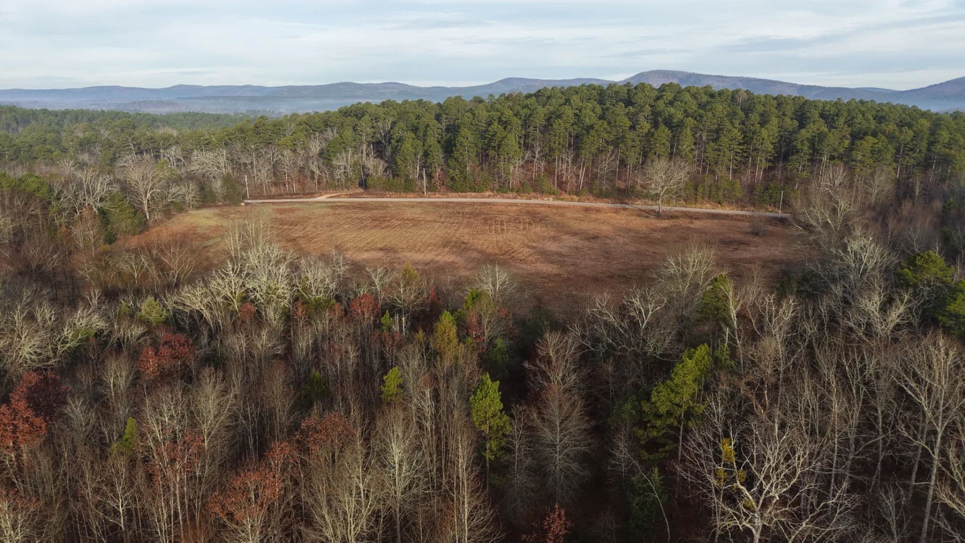 16.37 Acres [Tract 1] in Montgomery County, AR in Oden, Arkansas - photo 12