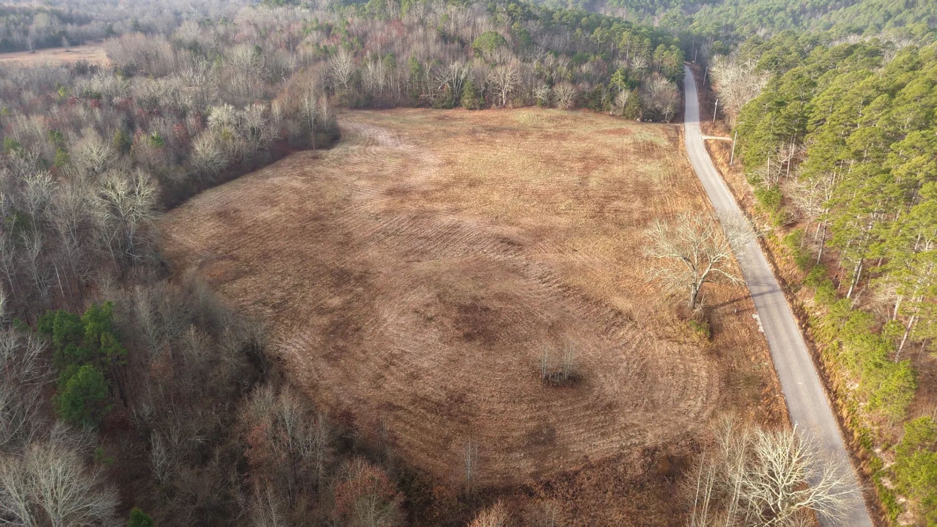 16.37 Acres [Tract 1] in Montgomery County, AR in Oden, Arkansas - photo 13