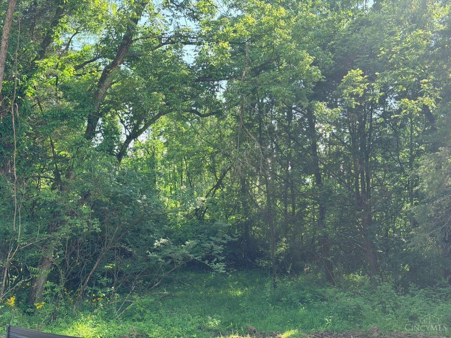 Vacant Land in Maineville - Maineville, Ohio, 45039
