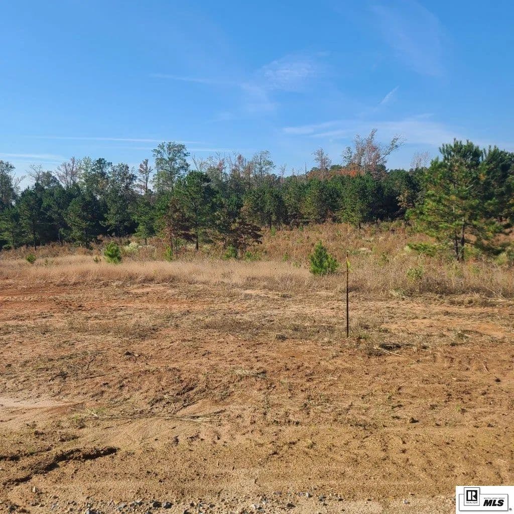 Vacant Land in Calhoun - Calhoun, Louisiana, 71225