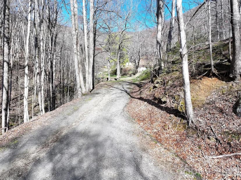 Property from 1002 Ned Cove Road - KW