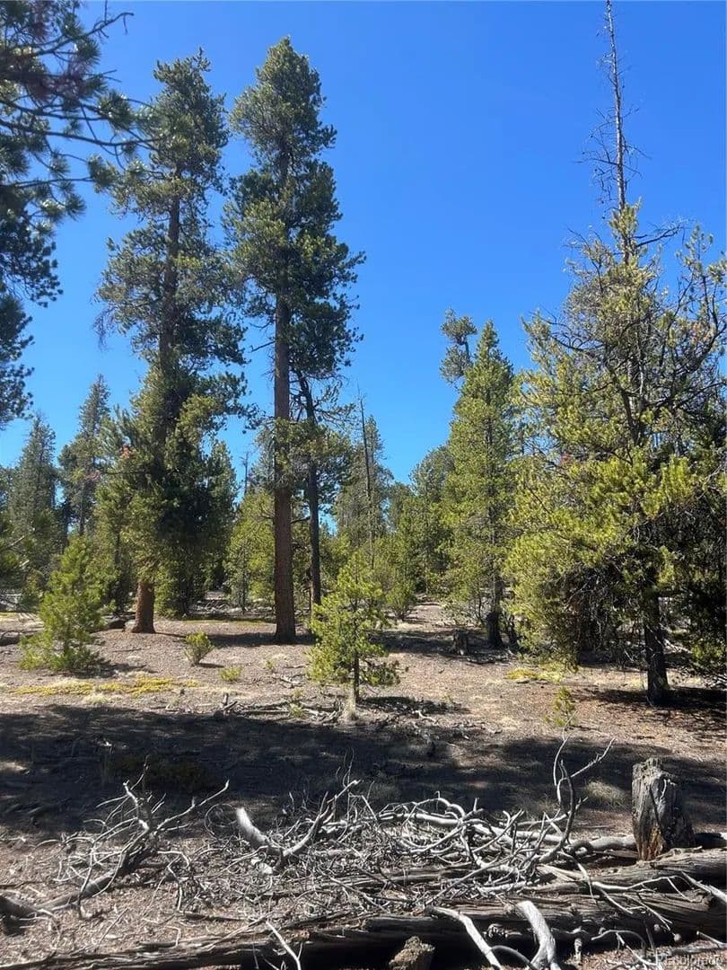 Lots & Land-Other in Leadville - Leadville, Colorado, 80461