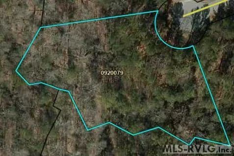 Vacant Land in Roanoke Rapids - Roanoke Rapids, North Carolina, 27870