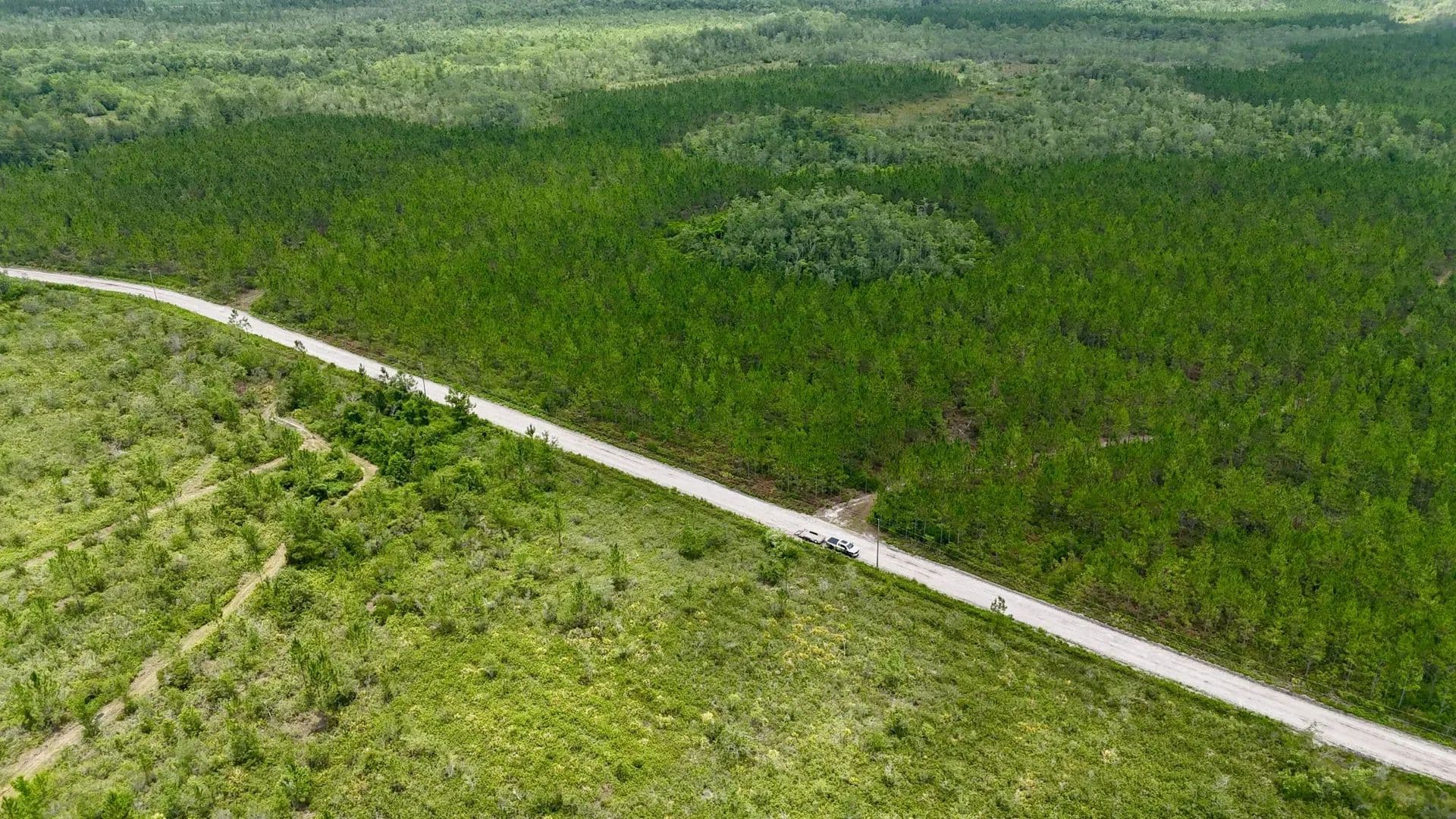 250 Acres of Land for Sale in Manor, GA - Manor, Georgia, 31550
