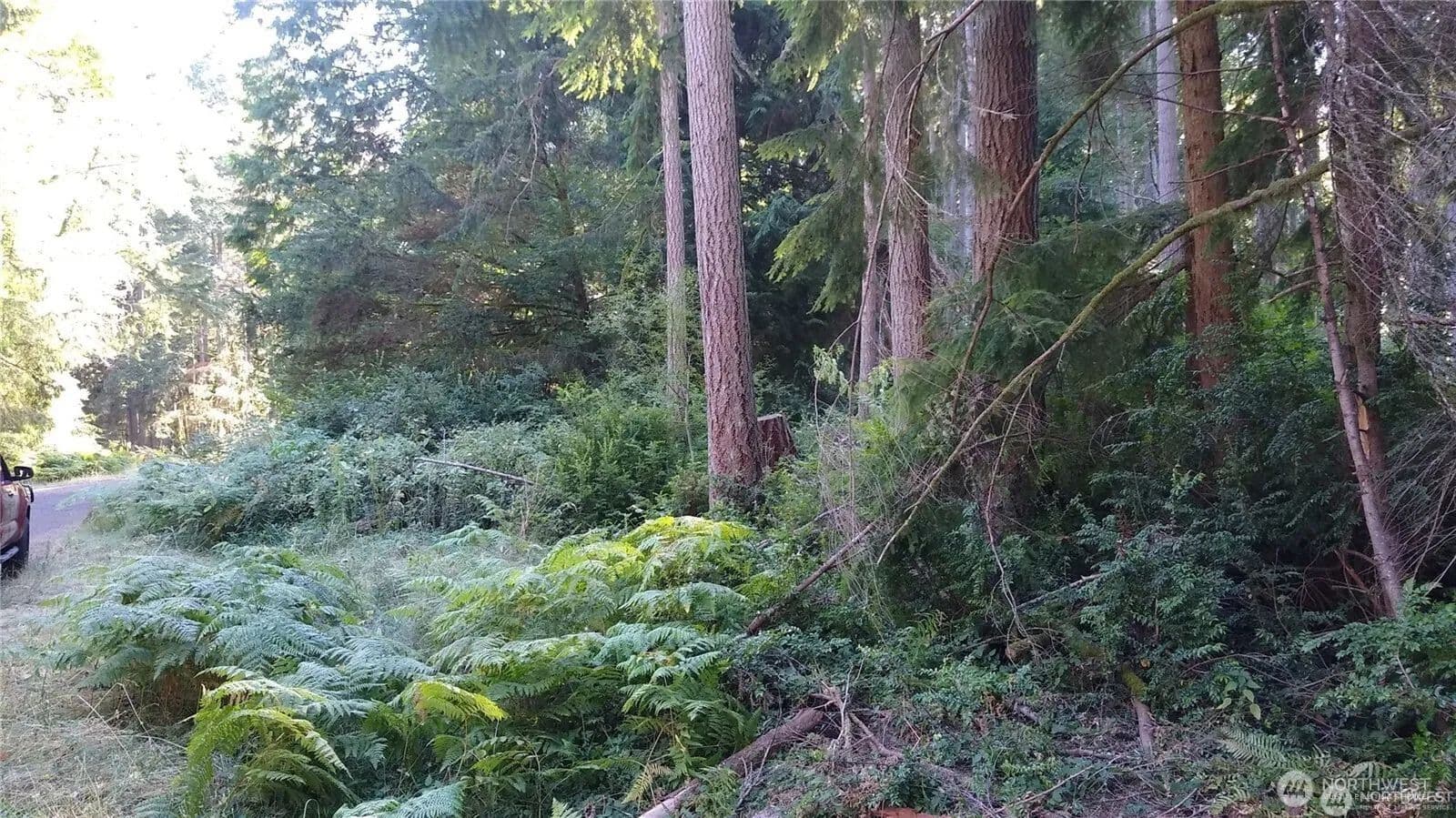Vacant Land in Anderson Island - Anderson Island, Washington, 98303