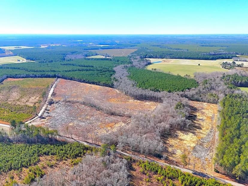 31.50 Acres of Residential Land for Sale in Sussex County VA!
