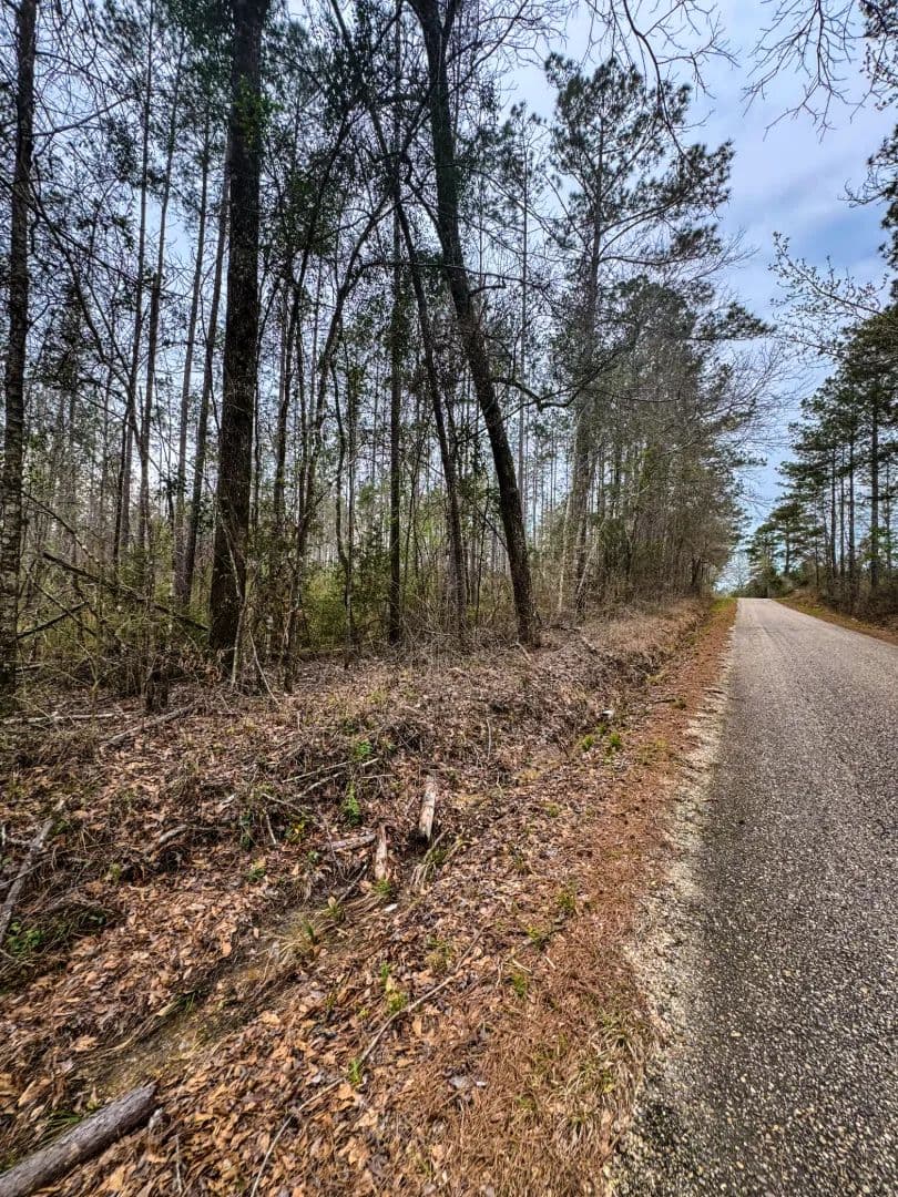 34.72 Acres in Jefferson Davis County, MS 