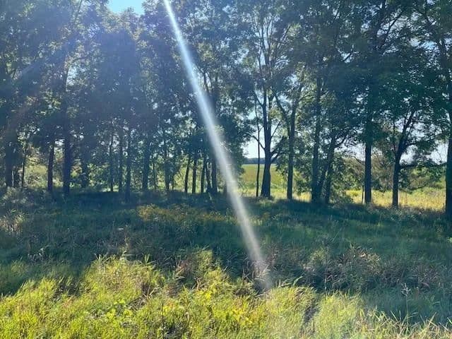 Lots & Land-Other in Pickett