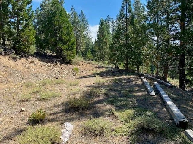 Vacant Land in Portola - Portola, California, 96122