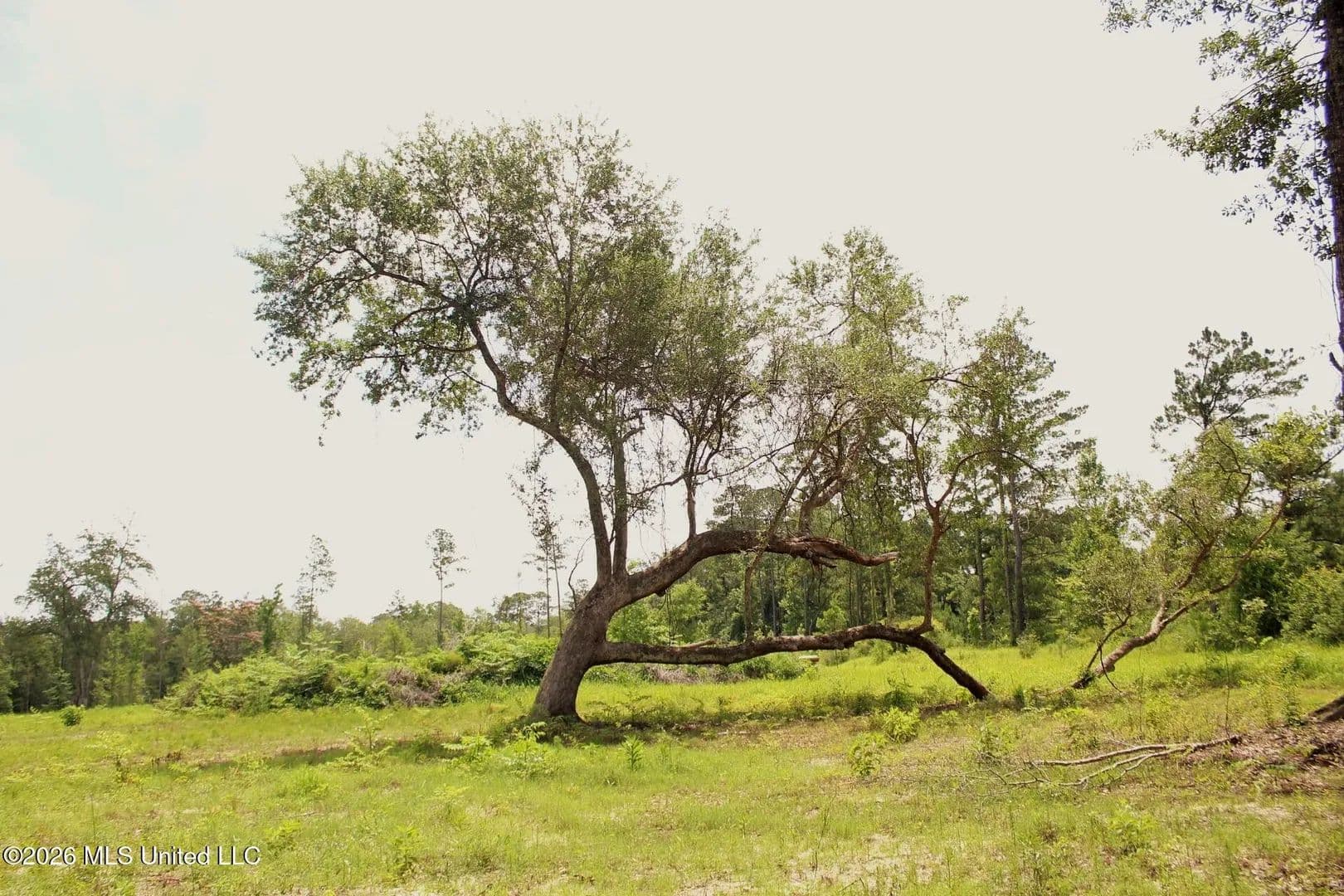 Property from 24.48ac River Road - KW - Lucedale, Mississippi, 39452