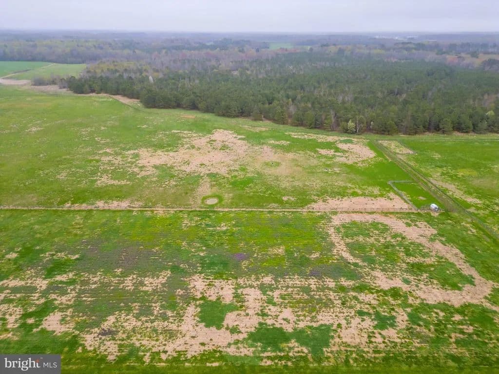 129.75 Acres of Land for Sale in FEDERALSBURG, MD - Federalsburg, Maryland, 21632