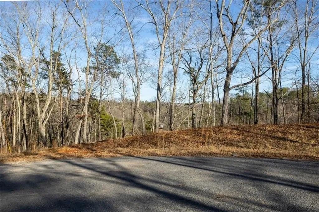 Lots & Land-Other in Talking Rock - Talking Rock, Georgia, 30175