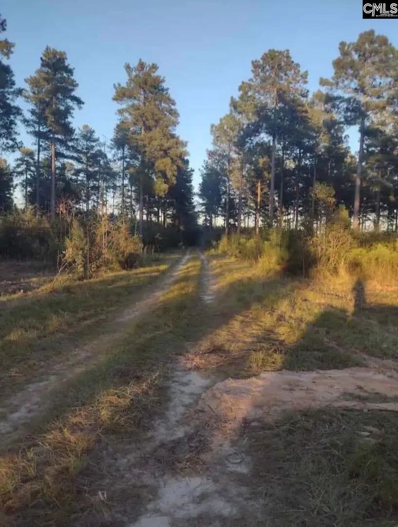 Vacant Land in Wagener - Wagener, South Carolina, 29164