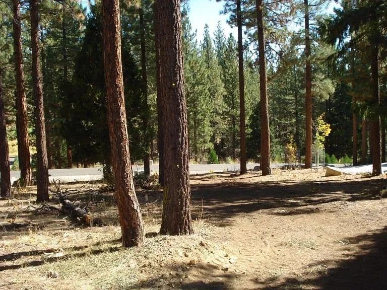 Vacant Land in Portola - Portola, California, 96122