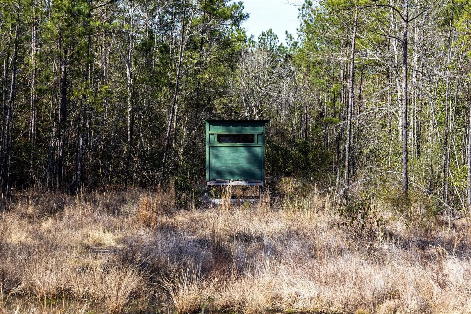 Vacant Land in Kountze - Kountze, Texas, 77625