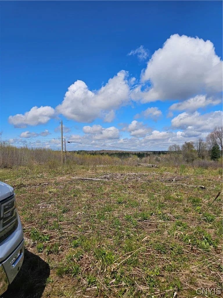 247.58 Acres of Land for Sale in Albion, NY - Albion, New York, 13062