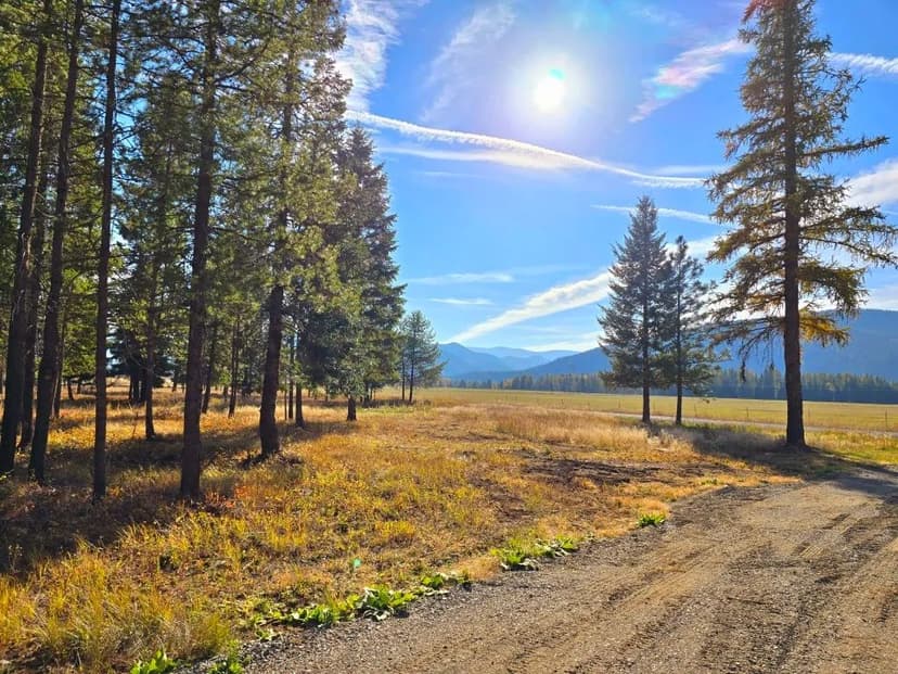 Lots & Land-Other in Trout Creek