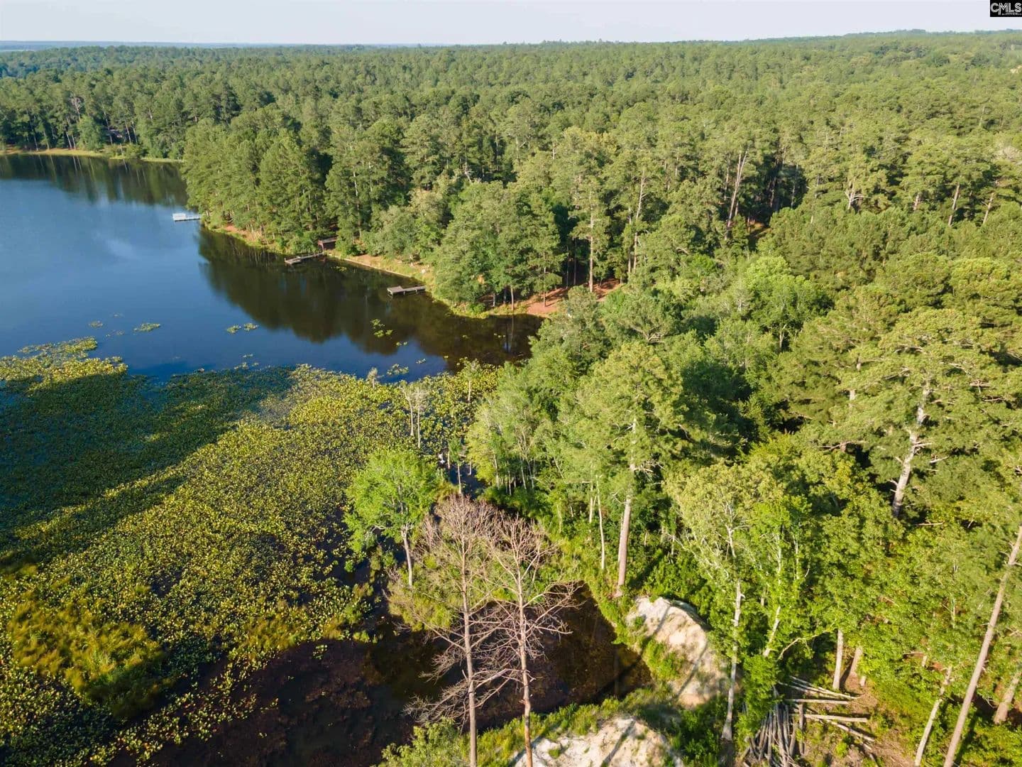 Vacant Land in Wagener - Wagener, South Carolina, 29164