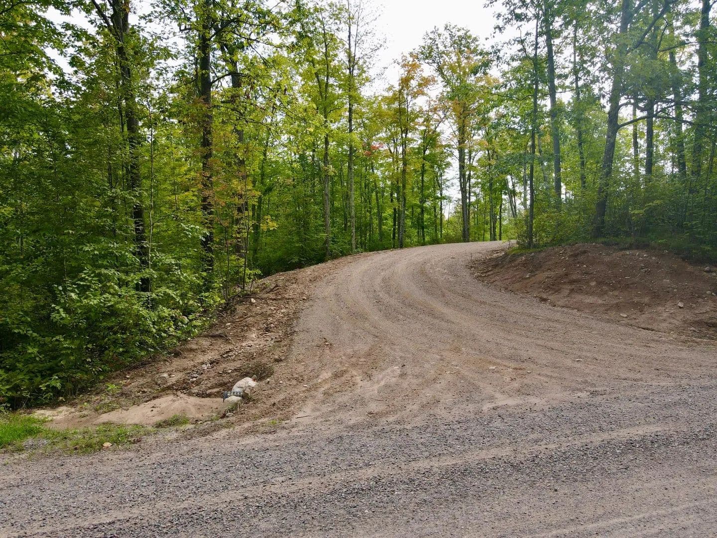 Vacant Land (10+ Acres) in Gleason - Gleason, Wisconsin, 54435
