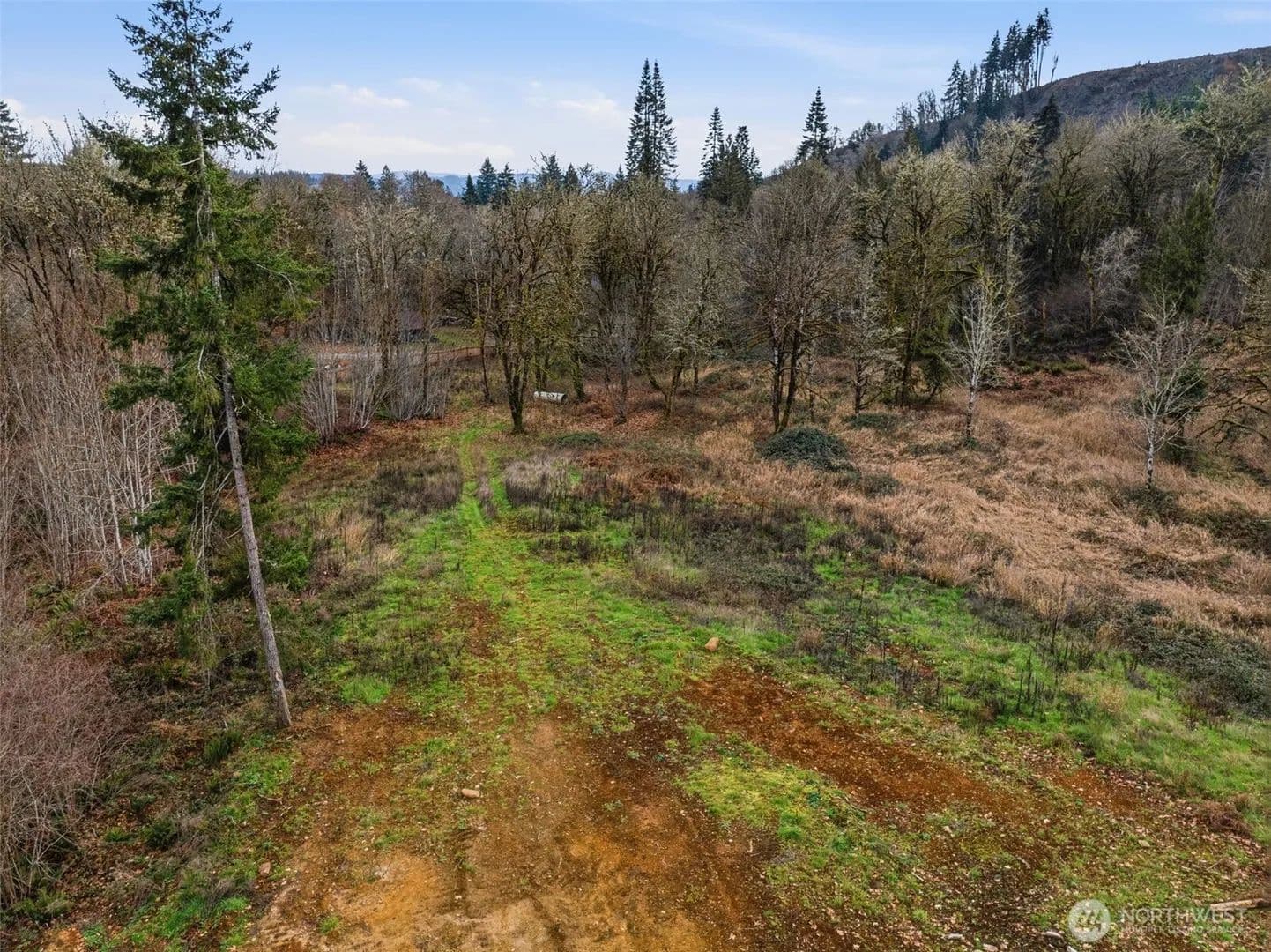 Vacant Land in Castle Rock - Castle Rock, Washington, 98611