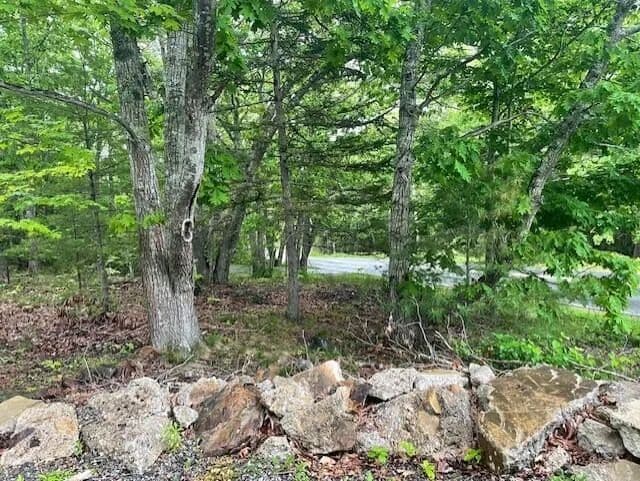 Lots & Land-Other in Owls Head - Owls Head, Maine, 04854