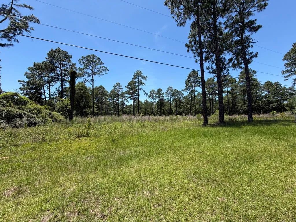 Property from 000 Hwy 33 - KW - Sylvester, Georgia, 31791