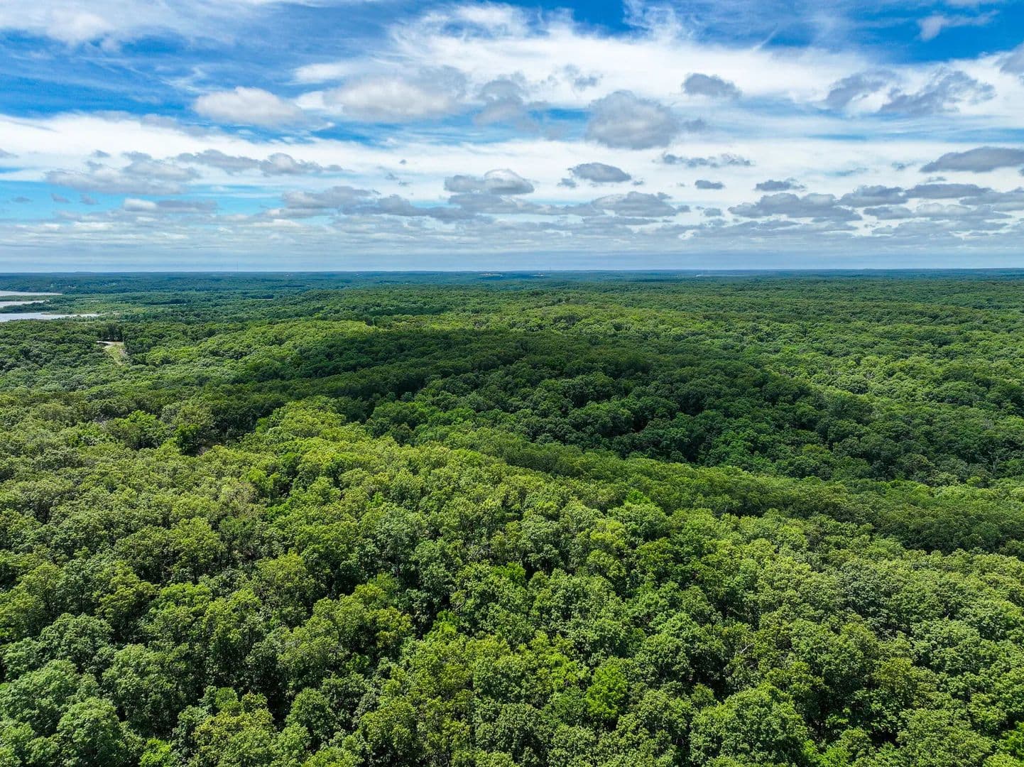 144 Acres of Land for Sale in Osceola, MO - Osceola, Missouri, 64776