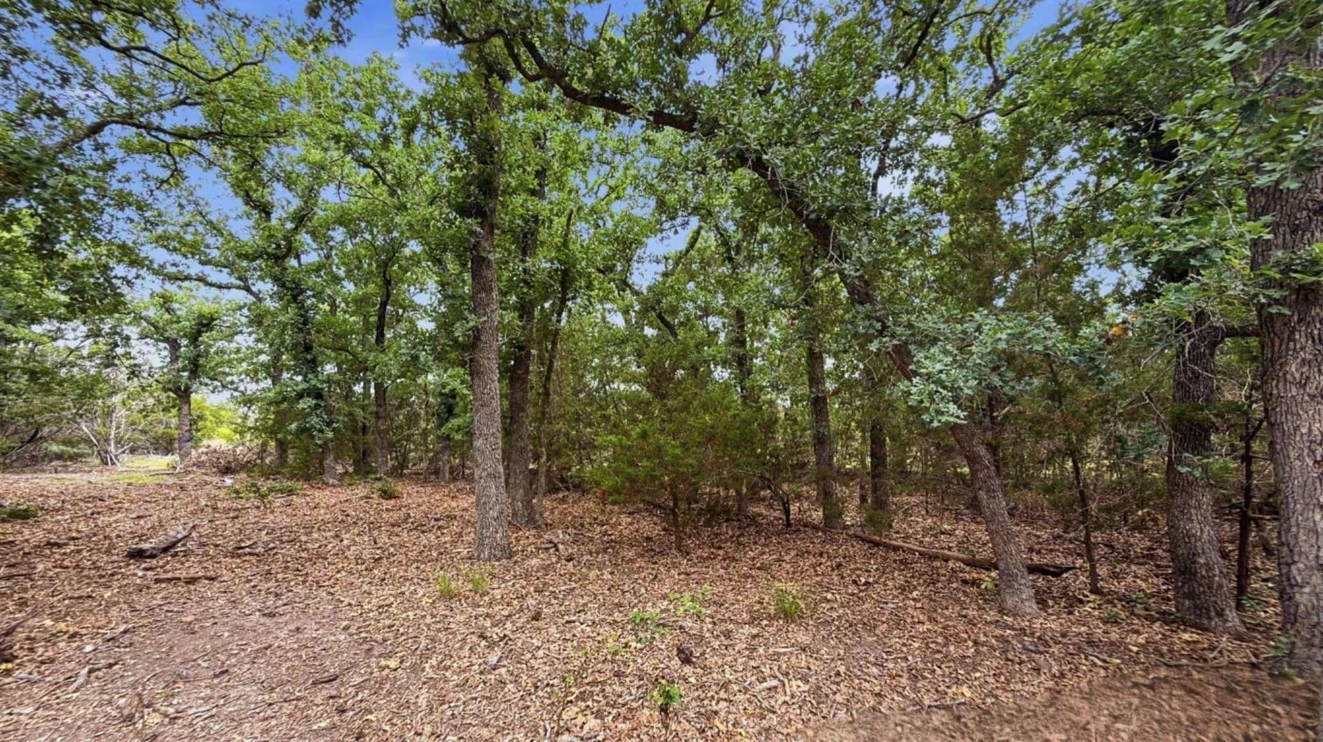 10.01 Acres of Land for Sale in Evant, TX - Evant, Texas, 76525