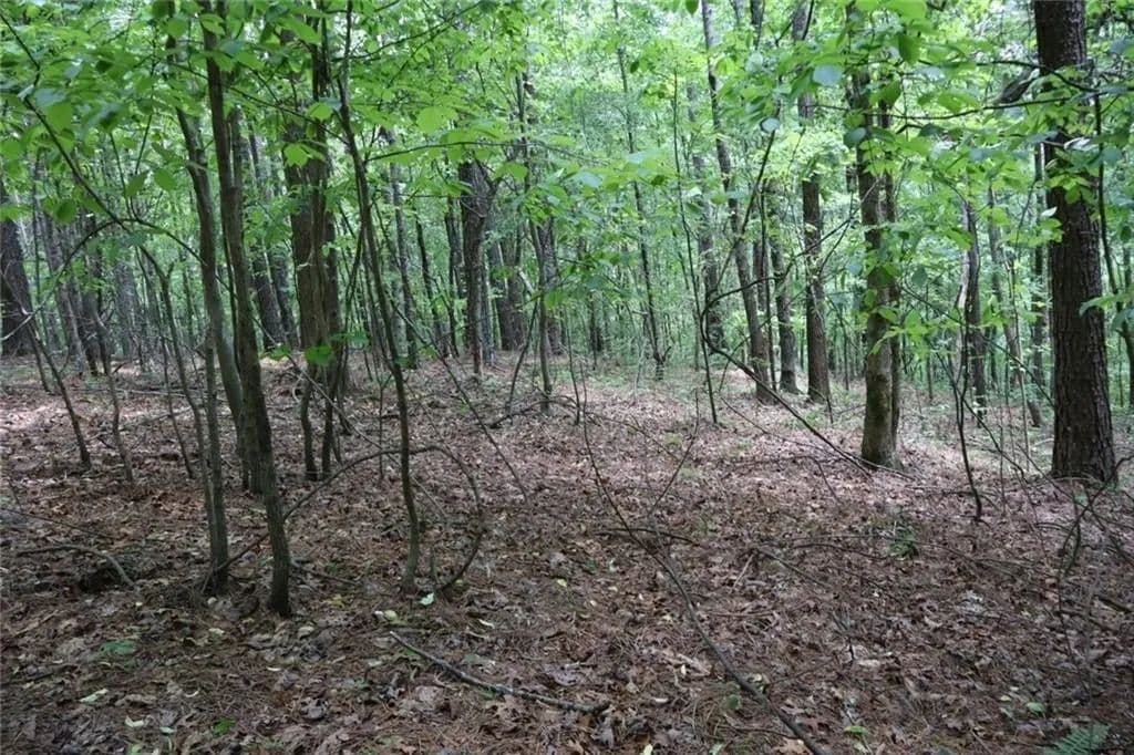 Lots & Land-Other in Ellijay - Ellijay, Georgia, 30540