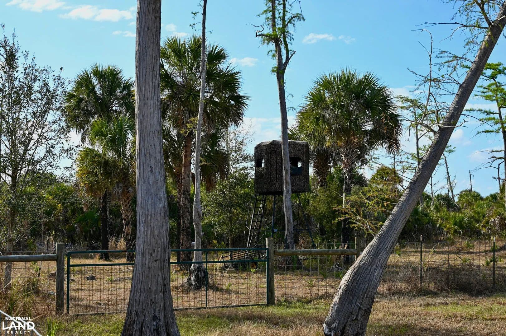 Where the Wild Things Are - Naples, Florida, 34117