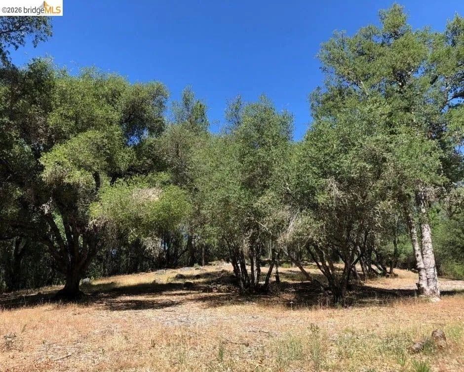 Lots & Land-Other in Sonora - Sonora, California, 95370