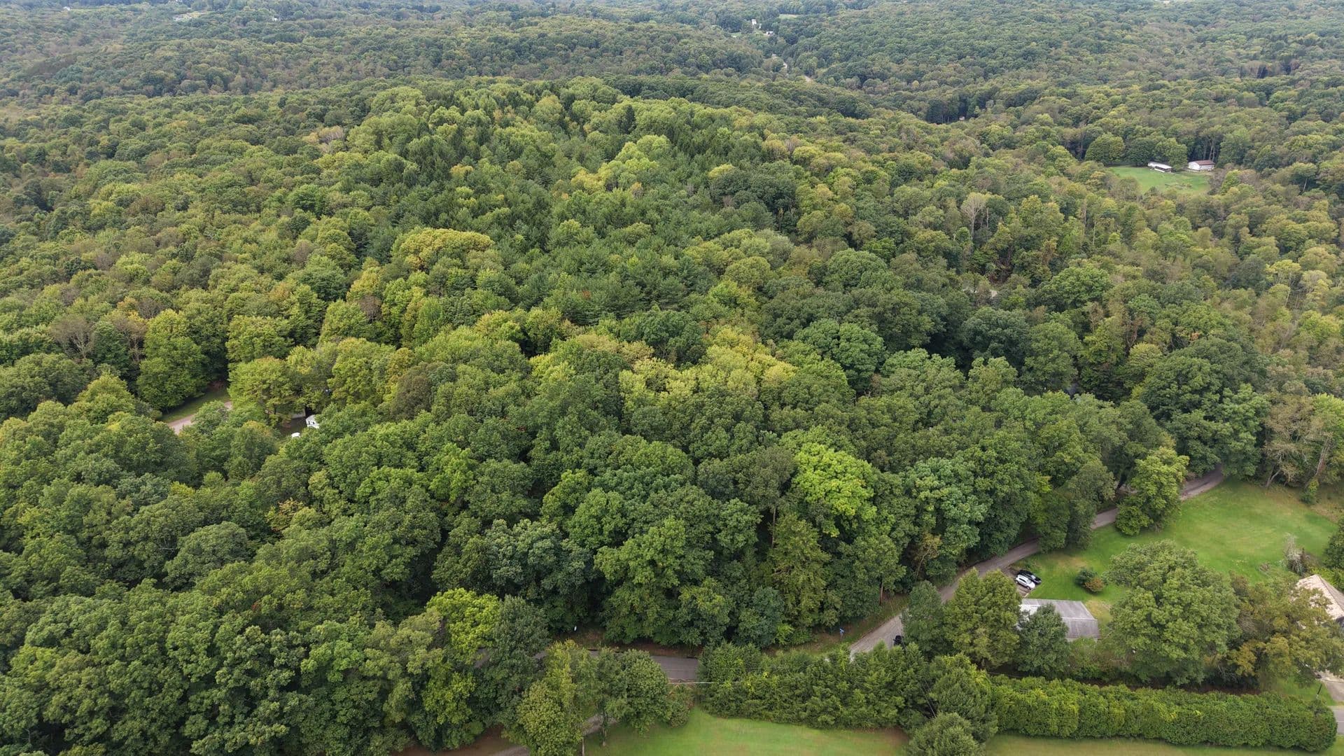 Vacant Land (10+ Acres) in West Sunbury - West Sunbury, Pennsylvania, 16061