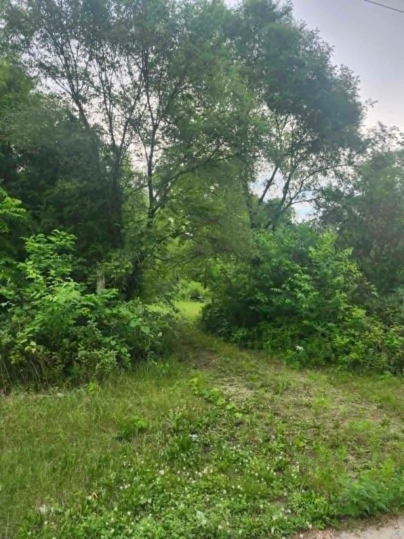 Vacant Land (10+ Acres) in Lone Rock - Lone Rock, Wisconsin, 53556