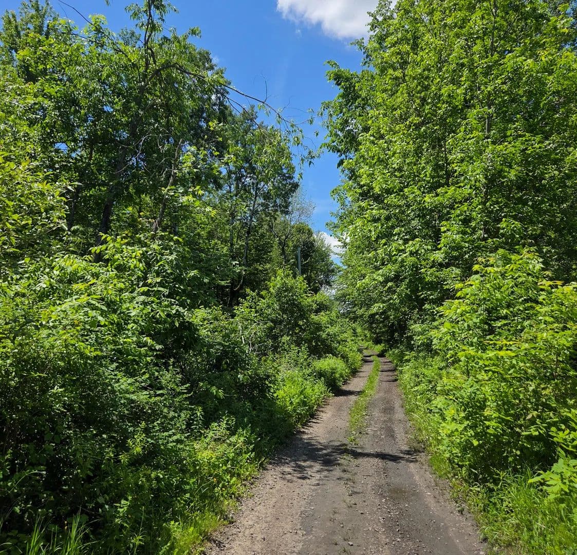 Property from 0 Mill Road - KW - Moira, New York, 12957