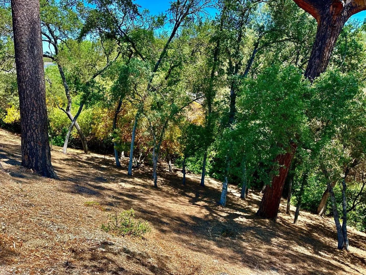 Lots & Land-Other in Copperopolis - Copperopolis, California, 95228