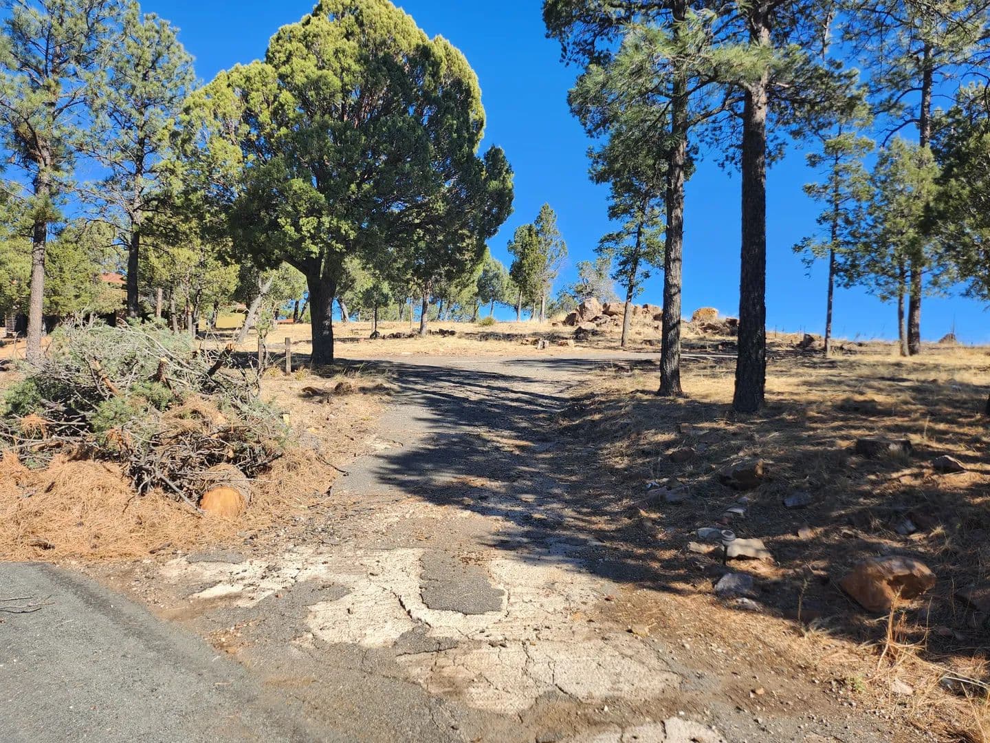 Land -Single Family Acreage in Ruidoso - Ruidoso, New Mexico, 88345