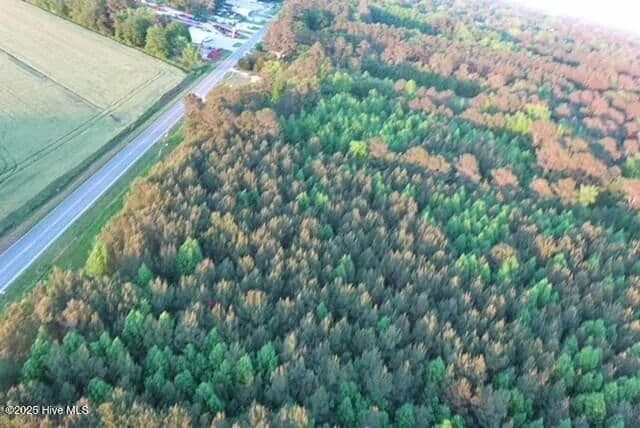 Vacant Land in Burgaw - Burgaw, North Carolina, 28425