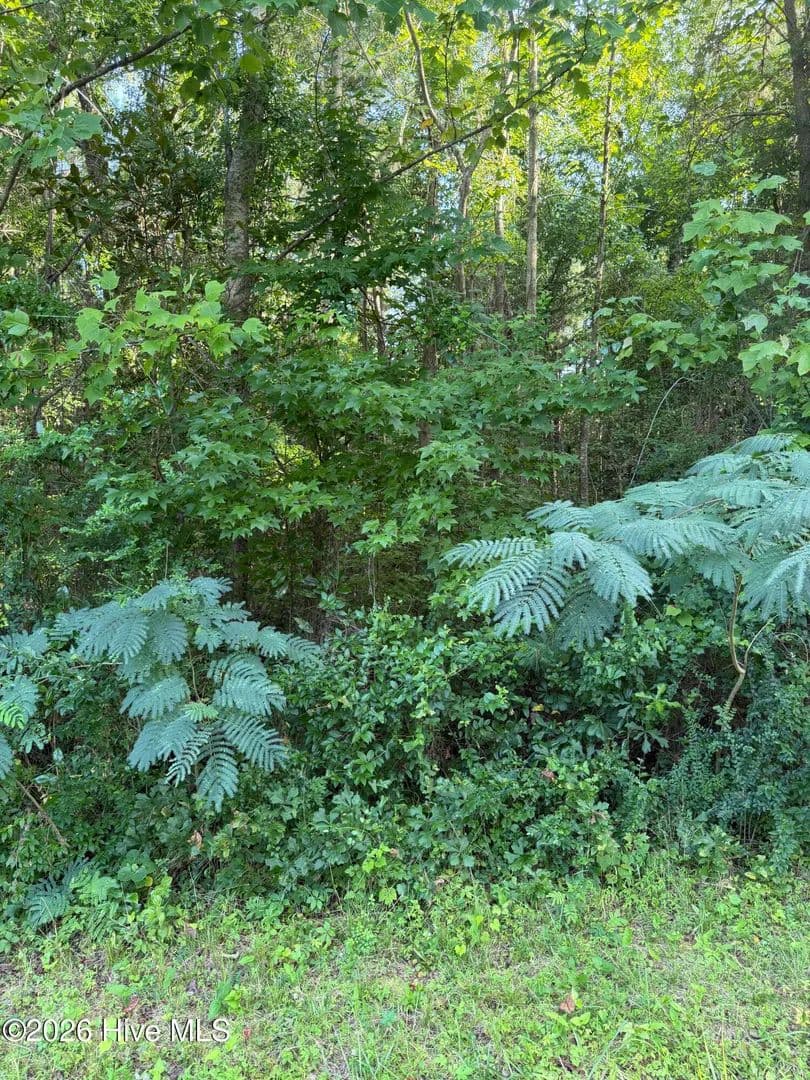 Vacant Land in New Bern - New Bern, North Carolina, 28560