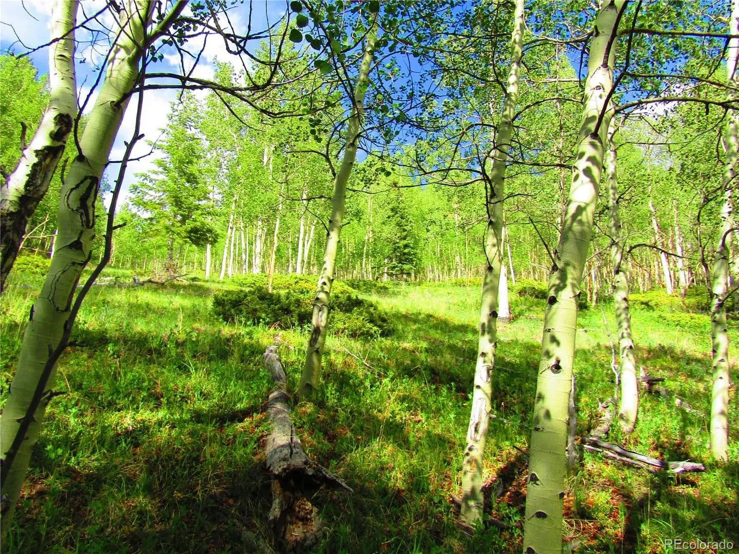 19.84 Acres of Land for Sale in San Luis, CO - San Luis, Colorado, 81132